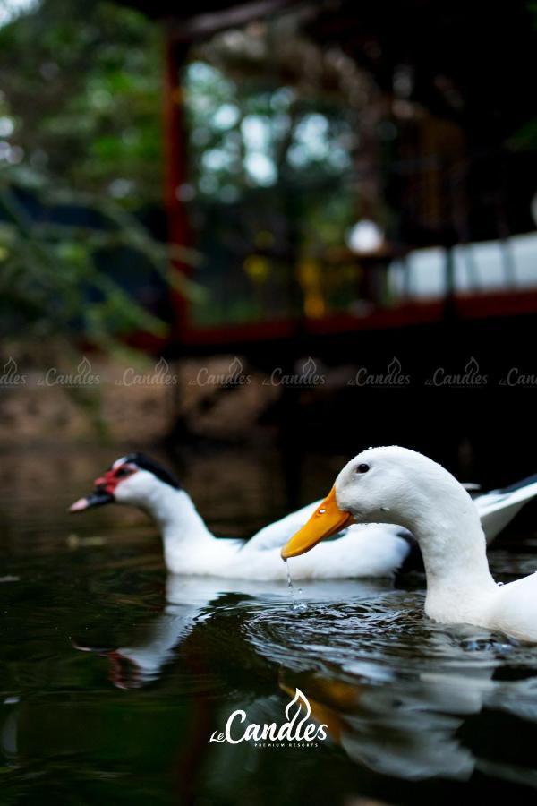 Le Candles Resort Kozhikode Dış mekan fotoğraf